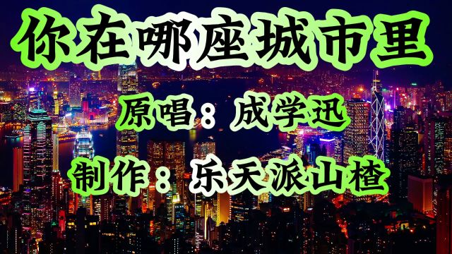 《你在哪座城市里》原唱:成学迅 制作:乐天派山楂