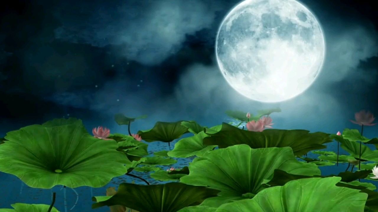 任贤齐&杨千嬅—花好月圆夜