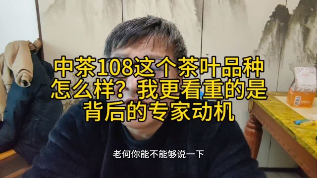 中茶108这个茶种怎么样?其实我看得更多是谁在过度宣传