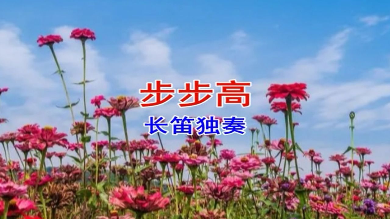 步步高(长笛独奏)