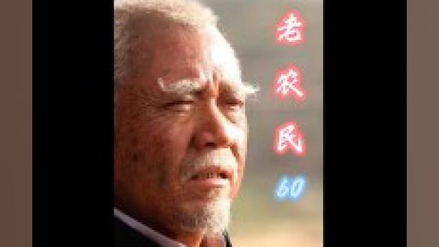 第60集一支简单的玫瑰,却让整个村子彻底沸腾了 #影视解说