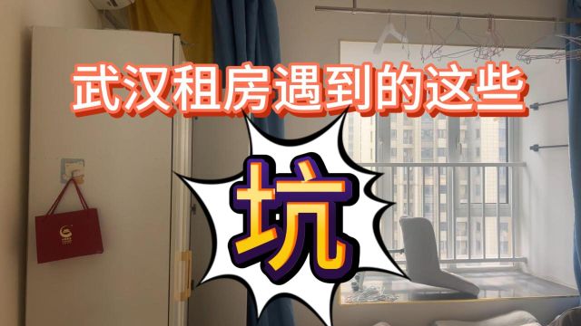 在武汉租房如何避坑?农村都不用的电器还有神奇的电表把我看懵了