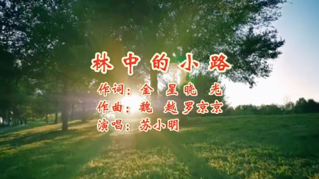 林中的小路 作词:金星 晓光 作曲:魏越 罗京京 演唱:苏小明