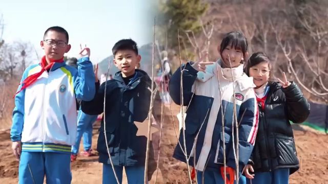 青岛市崂山区实验学校 3.12植树节公益活动