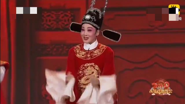 韩再芬领衔演唱黄梅戏《女驸马》,台下掌声不断