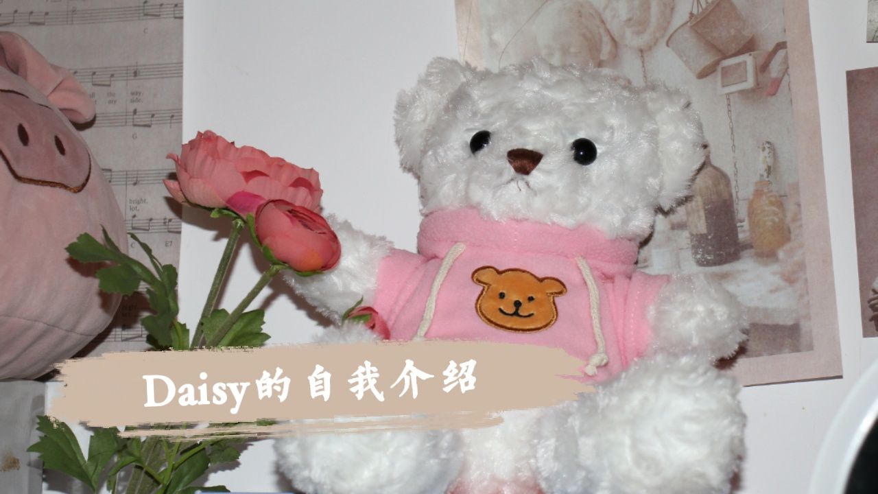 daisy的自我介绍