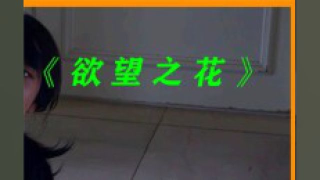 韩国大尺度电影,裴瑟琪贡献令人咋舌的表演,听说是假戏真做 #推荐电影 #影视解说