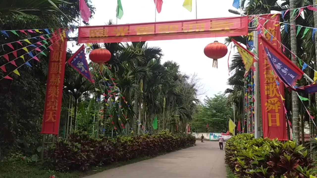 2024年海南省定安县龙河镇第次塘境主军坡