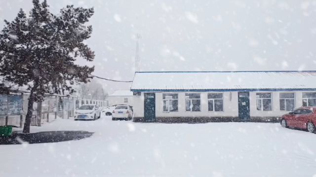 春雪(原创诗词)