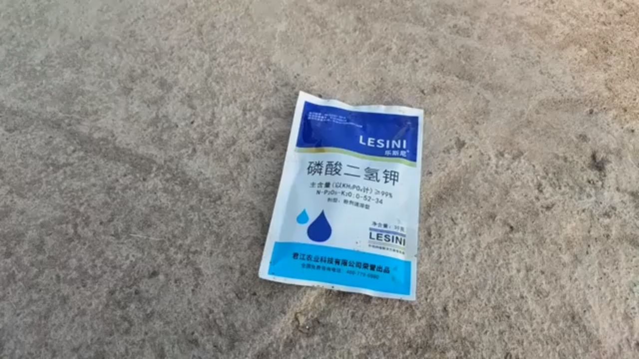 【磷酸二氢钾不要单独用,搭配这4种物质复配使用,效果翻倍】
