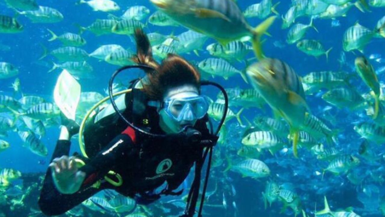 游客潜水中被摘面罩强行推销?三亚警方公开征集犯罪线索