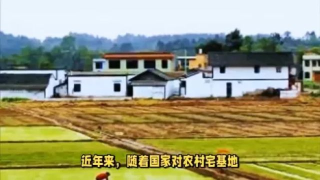 农村“一户一宅”政策即将实施,无宅基地者将如何应对?