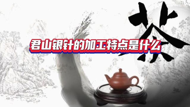 君山银针的加工特点是什么