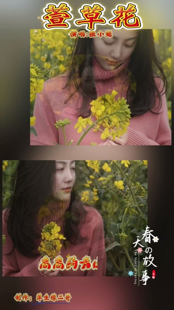 张小斐的这首《萱草花》太好听了,平静而又深情,致敬伟大的母亲
