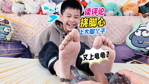 挑战挠脚心但是双脚？小乌龟大明二明一起上，布丁小仓鼠粽子还在_高清1080P在线观看平台_腾讯视频