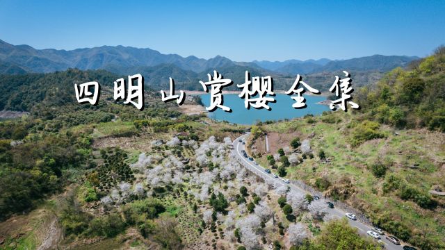 浙江最值得自驾的地方,收好这份四明山赏樱全攻略