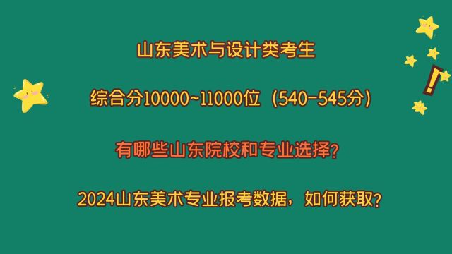 山东美术类,综合分540545(10000~11000位),有哪些院校专业?