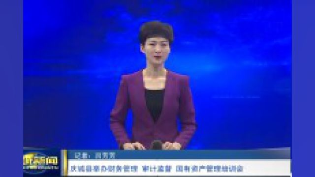 庆城县举办财务管理 审计监督 国有资产管理培训会