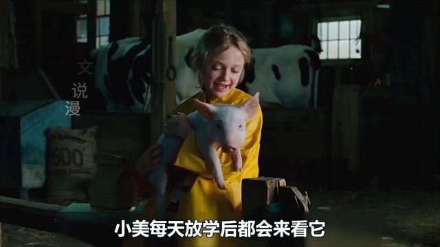 猪妈妈