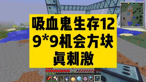 叶枫我的世界吸血鬼生存12 9乘9超大机会方块