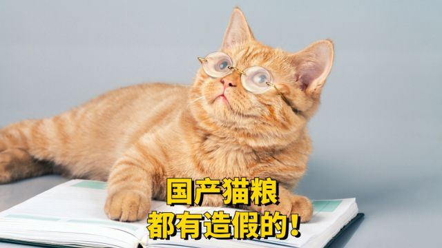 国产猫粮都有造假的!各位铲屎官千万要注意!