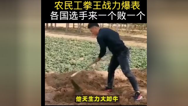 中国农民拳王闫西波