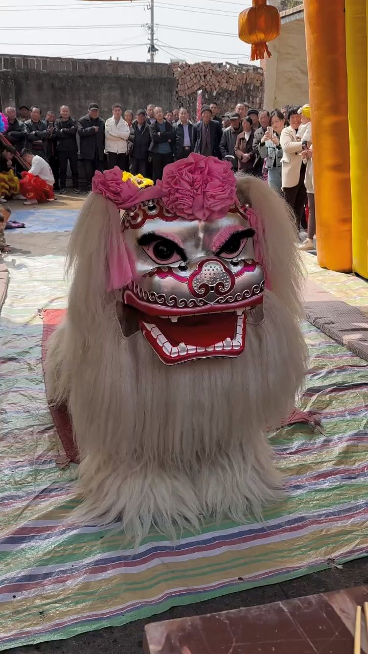 北狮文化,舞狮南狮北狮_文秘苑图库