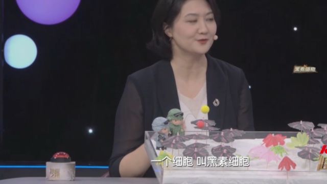 人体的黑色素到底从哪儿来的?听专家为你解析,瞬间秒懂