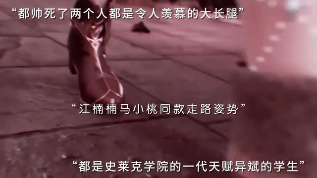 封面还怪好看的