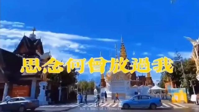 《思念何曾放过我》留不住的人和事太多,尽力就好,不属于自己的归还给人海…