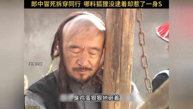 郎中冒死拆穿同行,哪料狐狸没逮着却惹了一身S