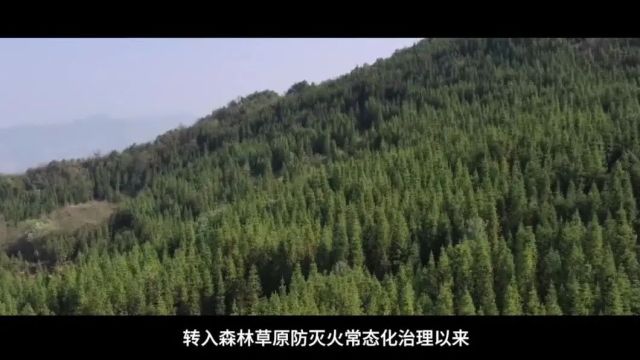 《林火之痛 警钟长鸣》警示教育片