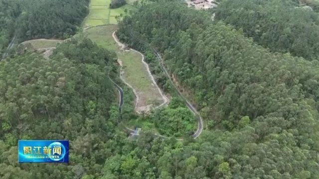 阳西护林员:守护绿水青山 助力绿美生态建设