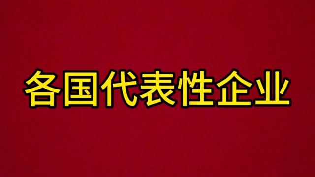 各国代表性企业