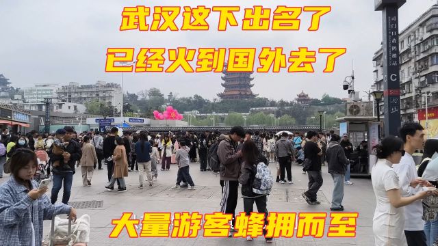 武汉这下出名了,已经火到国外去了,大量游客蜂拥而至