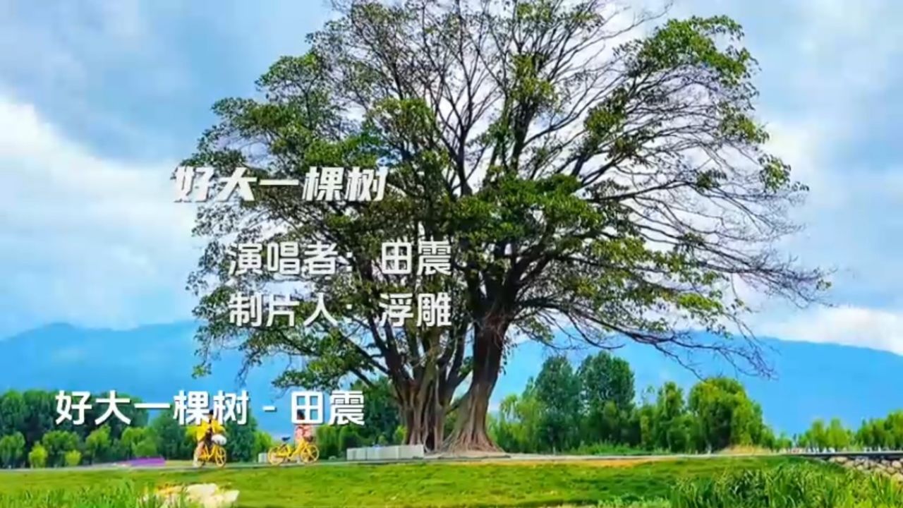 田震演唱的《好大一颗树》,声音粗矿,经典再现.