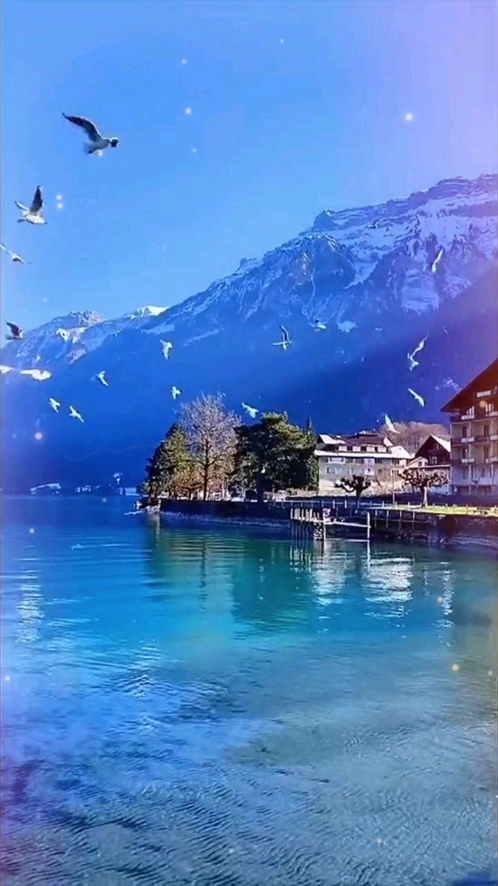 心旷神怡的海水丝滑永存