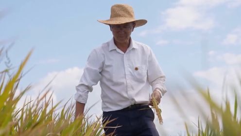 感动中国2023年度人物丨60岁农业专家杨华德让非洲水稻创高产纪录