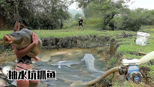 越南美女抽水坑,用抽水机抽干河道边的陈年老坑,鲤鱼能抓满一桶