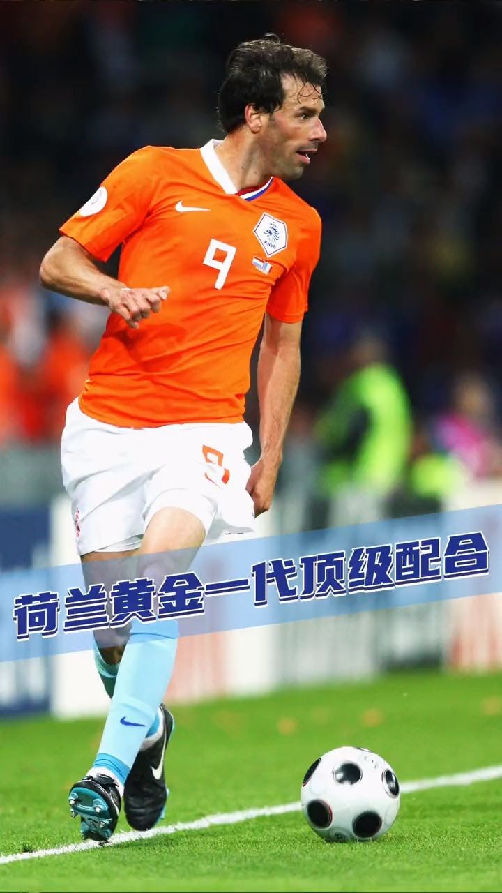 罗本 #范尼 #欧洲杯