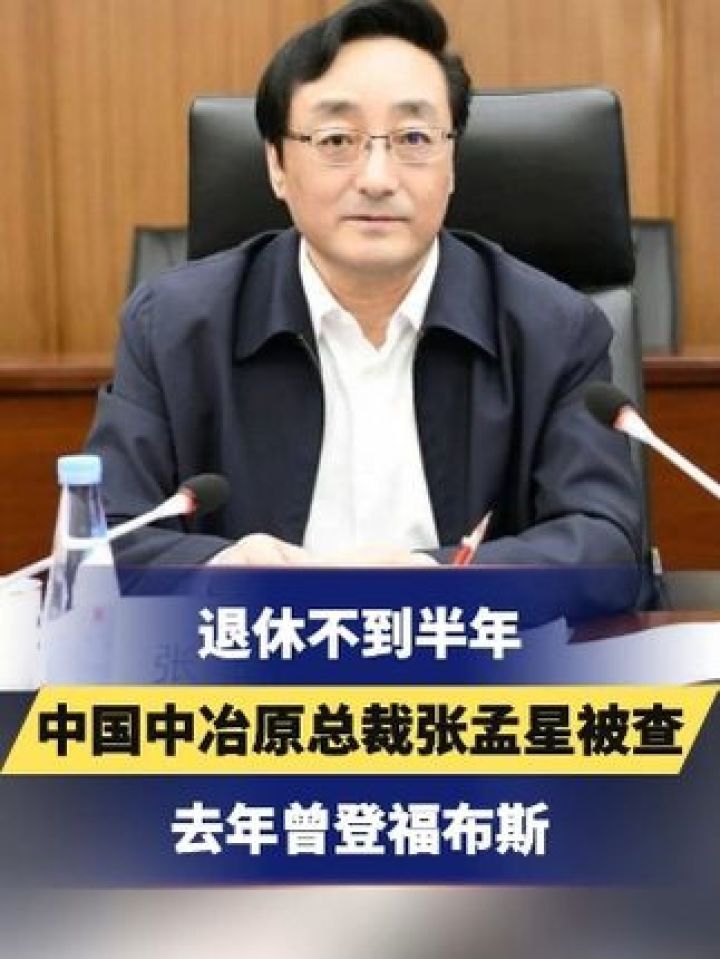 退休不到半年 中国中冶原总裁张孟星被查 去年曾登福布斯 #退休 #企业