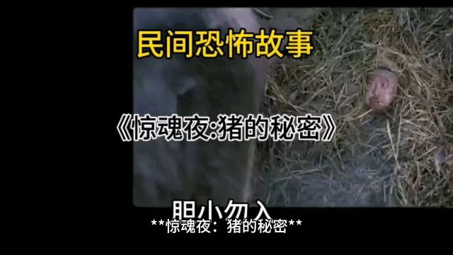 民间恐怖故事