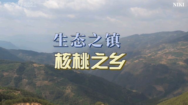 哀牢山之约:“生态之镇,核桃之乡”,楚雄新村镇风光.