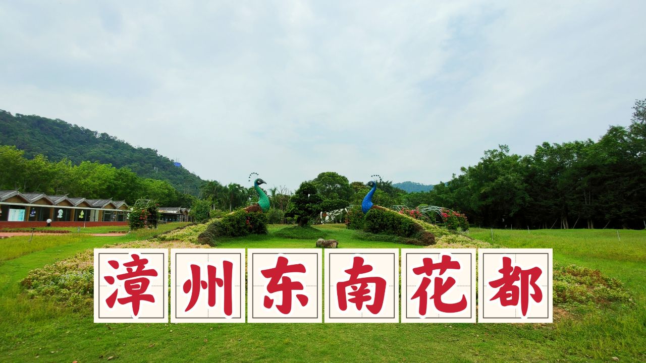 漫游漳州东南花都花博园,一座妙趣横生的植物天堂