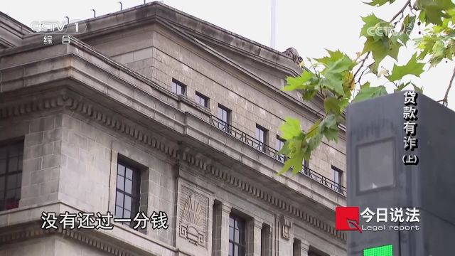 天降巨额贷款,农村人接到银行催收电话,十分恐慌