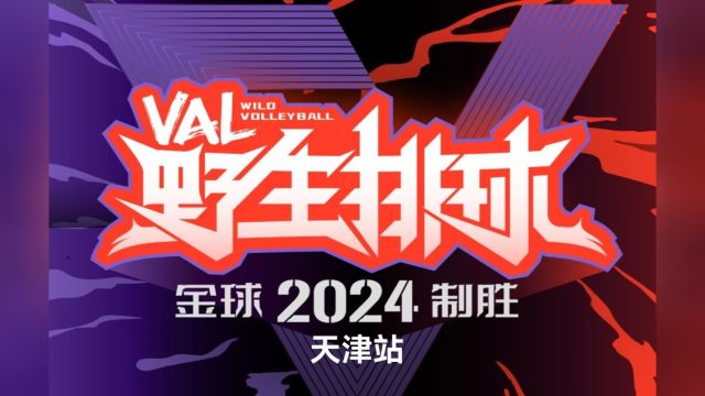 天津站 | 2024VAL野生排球天津站火热报名中!