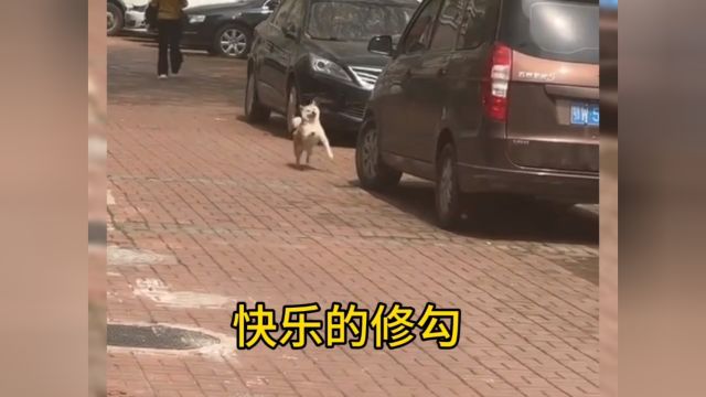 快乐的源泉