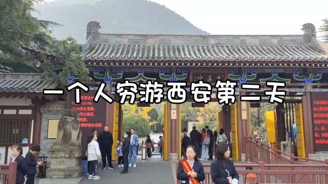 一个人穷游西安,168元跟团一日游探寻兵马俑魅力