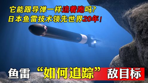 详解鱼雷如何击中目标，它会像导弹一样一直跟踪目标吗