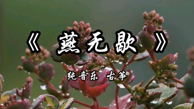 《燕无歇》纯音乐完整版#纯音乐 #背景音乐 #前奏一响拾起多少人的回忆